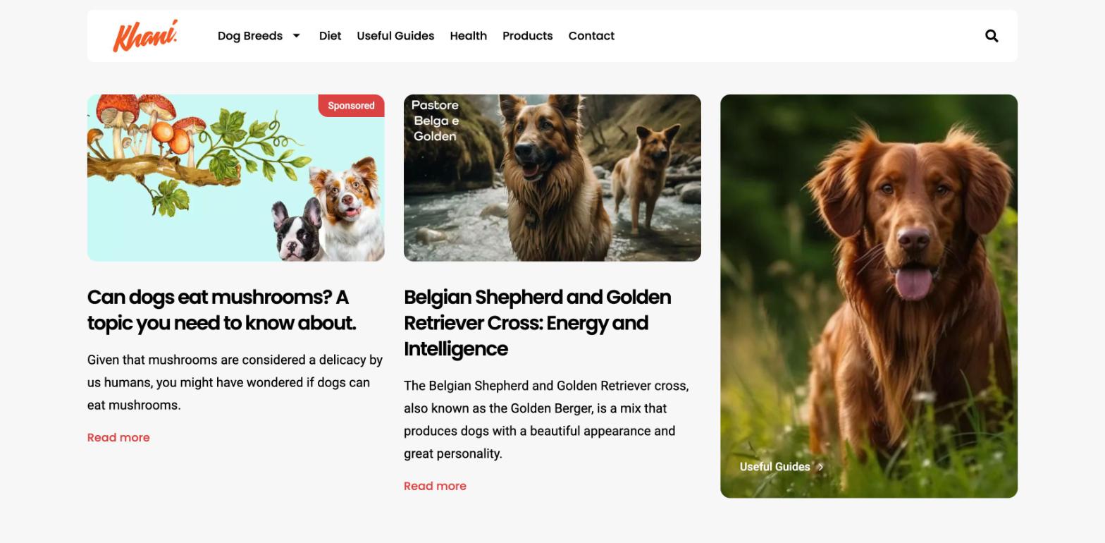 Khani dog blog homepage, a Next.js and Storyblok build by Akashdeep Kashhyap